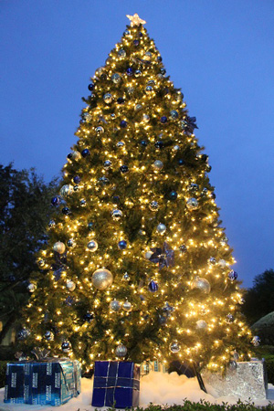 Texas Southmost College (TSC) celebrated its Third Annual Tree Lighting Ceremony on Dec. 2, 2015 in front of Gorgas Hall on the TSC campus.