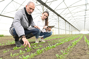 TSC launches Agriculture and Agribusiness associate degree programs.