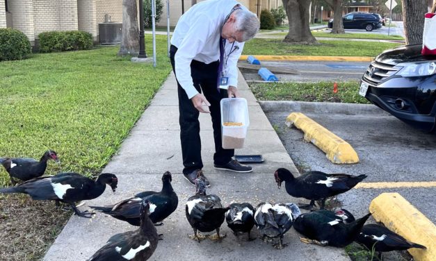 Ever wondered why our #TSCducks are always smiling and wagging their tails?