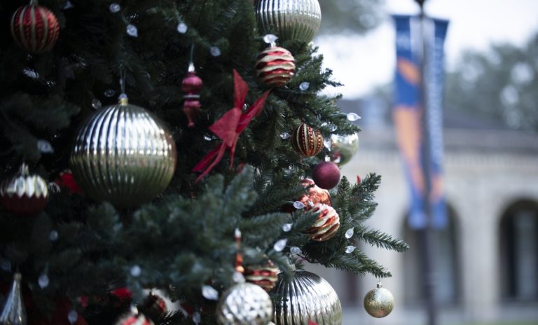 Christmas Tree Lighting
