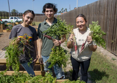 Community Garden First Harvest 2023-02-27