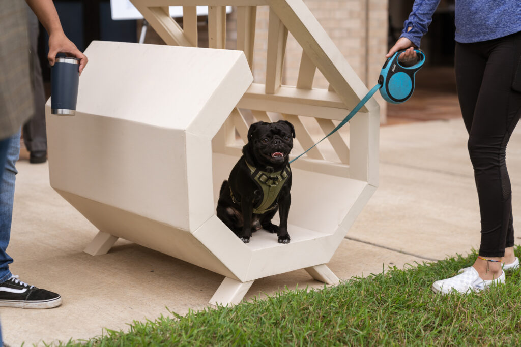 Video Barkitecture students showcase, donate dog houses to RGV Humane