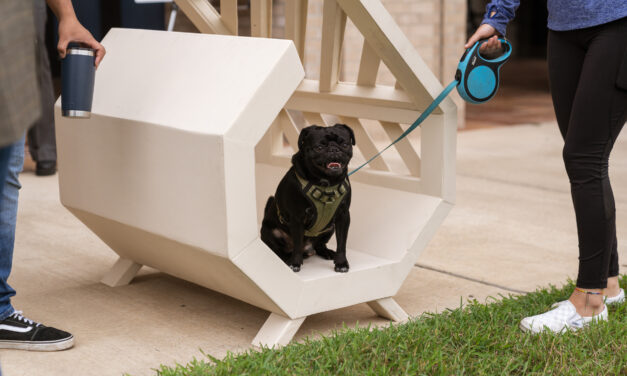 Video: Barkitecture students showcase, donate dog houses to RGV Humane Society