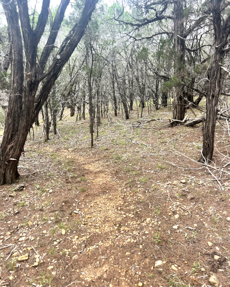 Antonio Duránt, Program Coordinator and Instructor of Music at Texas Southmost College, recently pushed himself to new heights completing his first full marathon at La Pachanga Trail Run in Spicewood, Texas. These are images of the trails he pushed through.