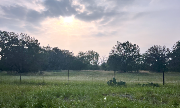 Running on Passion: TSC’s Antonio Duránt Completes First Marathon Through Texas Hill Country