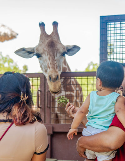 TSC Play Day at the Zoo