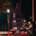 Photos: 2025 Tree Lighting Ceremony