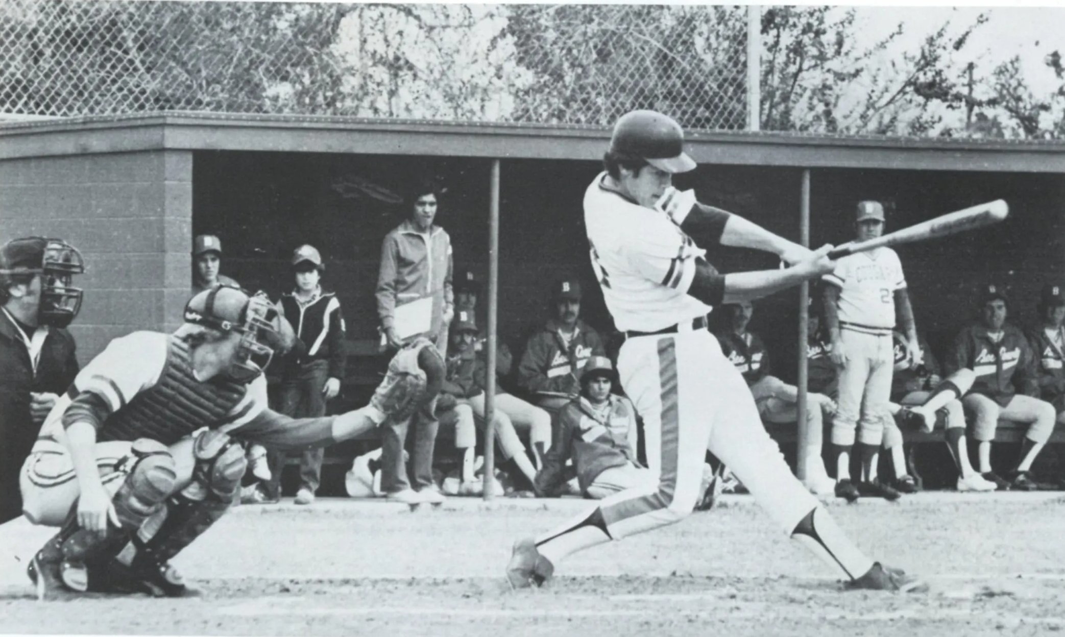 197820scorpio20img20211012_13515742-9czN6 TSC 100 Years