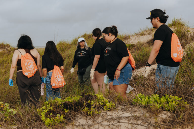 TSC students collect trash along the shoreline at Edwin King Atwood Park during a South Padre Island beach cleanup.