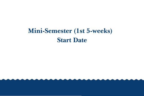 Mini-Mester (5 weeks)