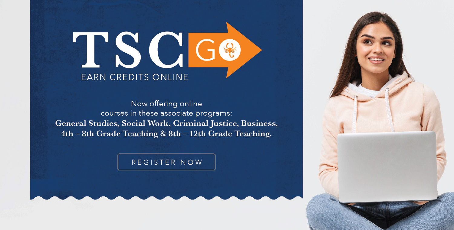 TSC Go Online Programs